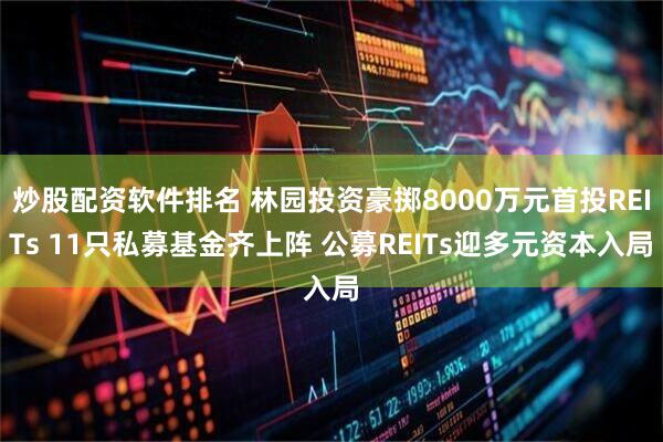 炒股配资软件排名 林园投资豪掷8000万元首投REITs 11只私募基金齐上阵 公募REITs迎多元资本入局
